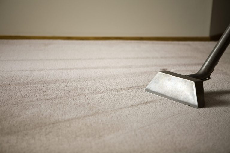 Carpet Maintenance Service